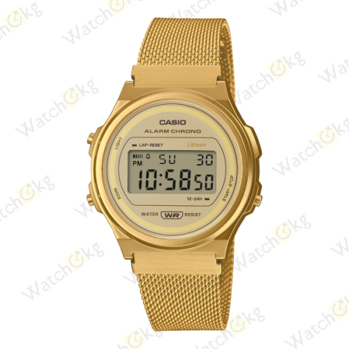 Часы Мужские Casio VINTAGE (A171WEMG-9A)  | Watch.kg