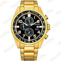 Часы Мужские Citizen Chronograph (AN3652-55E)
