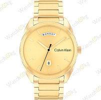 Часы Мужские Calvin Klein (25200447)