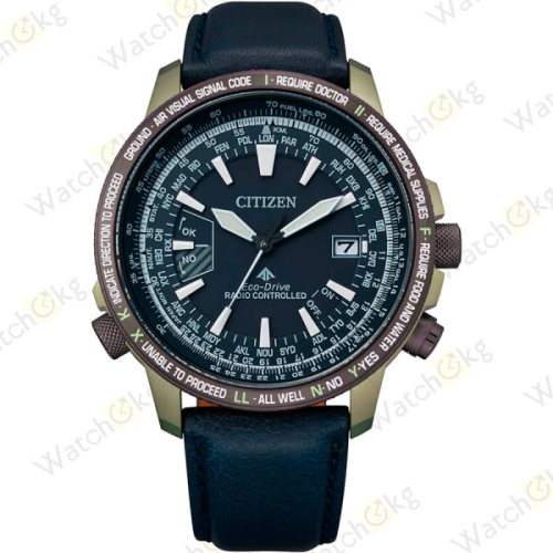 Часы Мужские Citizen Promaster (CB0204-14L)  | Watch.kg