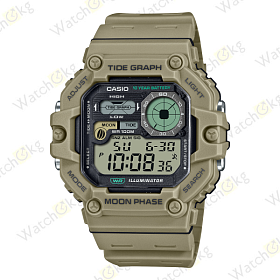 Часы Мужские Casio (WS-1700H-5AV)