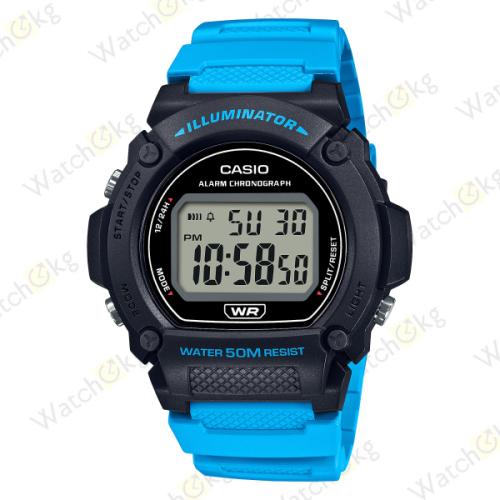 Часы Мужские Casio (W-219H-2A2V)  | Watch.kg