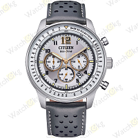 Часы Мужские Citizen Eco-Drive (CA4500-24H)