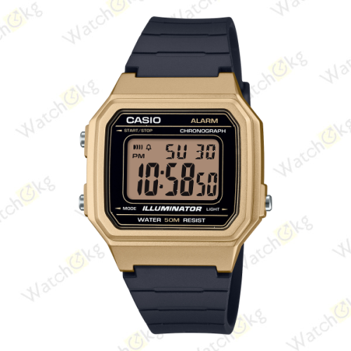 Часы Мужские Casio (W-217HM-9AV)  | Watch.kg