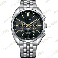 Часы Мужские Citizen Chronograph (AN8210-56E)