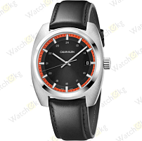 Часы Мужские Calvin Klein (K8W311C1)
