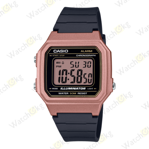 Часы Мужские Casio (W-217HM-5AV)  | Watch.kg