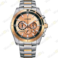 Часы Мужские Citizen Chronograph (AN8204-59X)